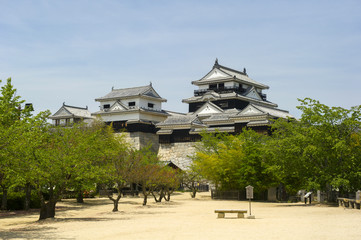 新緑の松山城