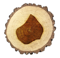 Slice of wood (shape of Lesotho branded onto) .(series)