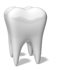 Human Teeth. 3D. Tooth