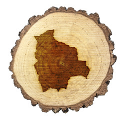 Slice of wood (shape of Bolivia branded onto) .(series)