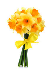 Bouquet of daffodils with a yellow ribbon isolated