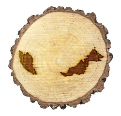 Slice of wood (shape of Malaysia branded onto) .(series)