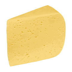 Piece of cheese isolated on a white background. Vector illustrat