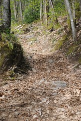 Sentier