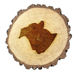 Slice of wood (shape of New Brunswick branded onto) .(series)