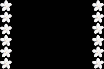 Fototapeta premium kwiat na czarnym tle