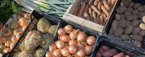 Close up of various colorful raw vegetables
