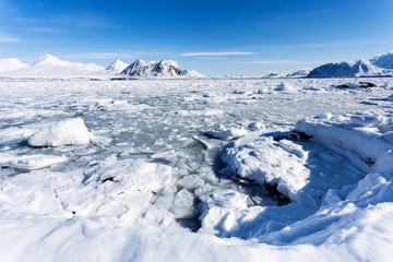 Arctic glacier landscape - Svalbard
