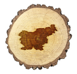 Slice of wood (shape of Slovenia branded onto) .(series)
