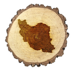 Slice of wood (shape of Iran branded onto) .(series)