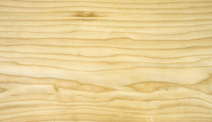yellpw maple veneer