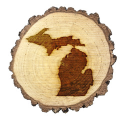 Slice of wood (shape of Michigan branded onto) .(series)
