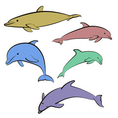 5 color icons dolphins