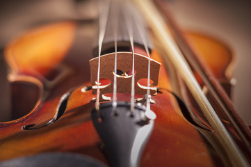 Violin bridge with very limited depth of field