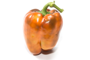 paprika (pepper) isolated on a white background