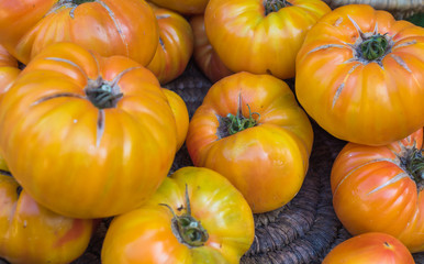Yellow tomatoes in the market