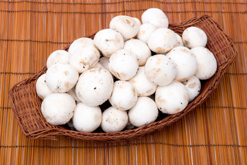 funghi in un cestino 