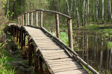 bridge in a spring forest