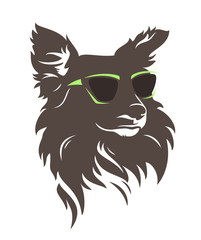 cute hipster dog wearing sunglasses