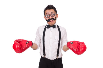 Funny boxer isolated on the white background