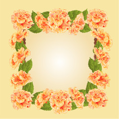 Frame with yellow hibiscus vector