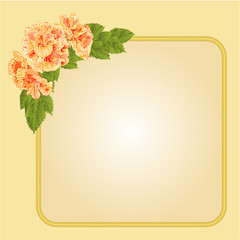 Golden frame with yellow hibiscus vector