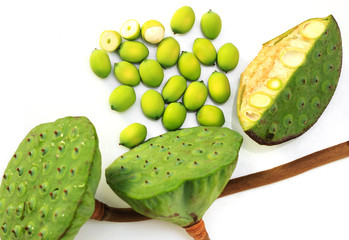 Lotus pod against white background