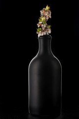 Spring cherry blossom in black bottle