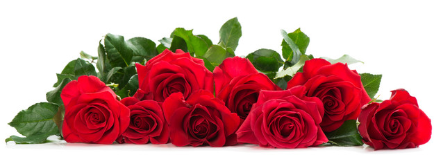 Paar rode rozen