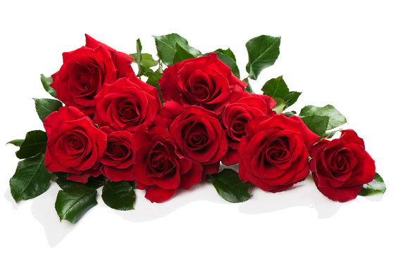 Red roses with green leaves