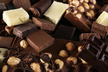 Set of chocolate with hazelnut, closeup
