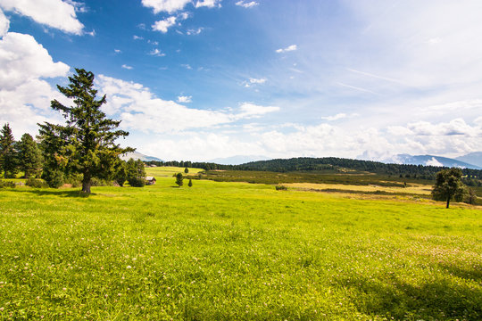 Sommertag auf der Villanderer Alm