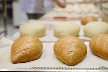 Fresh bread in the bakery