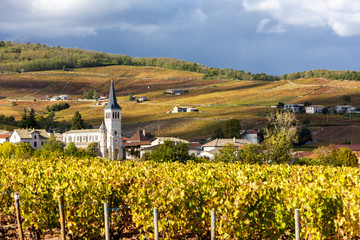 Chenas with vineyard, Beaujolais, Rhone-Alpes, France