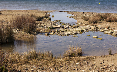 Beach in spring.