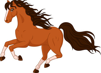 Beautiful wild horse