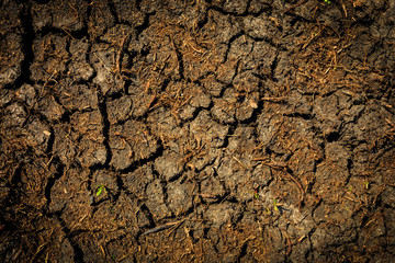 Cracked earth surface