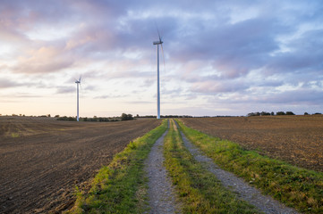 Wiatraki na wiosennym polu © Mike Mareen