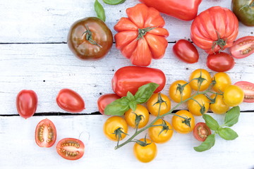 alte tomaten sorten