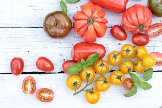 alte tomaten sorten