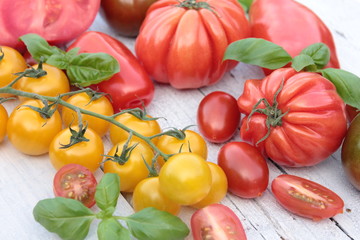 Obraz na płótnie Canvas alte tomaten sorten