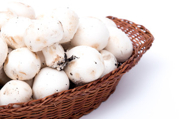 funghi champignon crudi in un cestino
