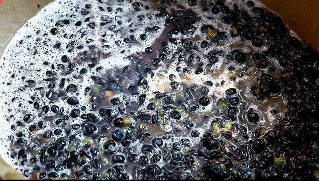 Crashing grapes and making wine from red grapes