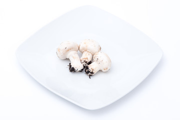 funghi bianchi su piatto bianco