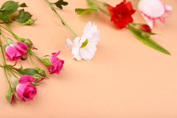 Obraz na płótnie Canvas Different flowers on colour background