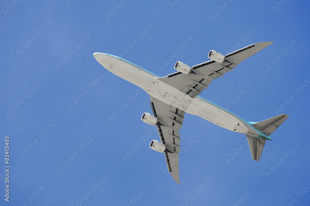 Wall mural freight plane