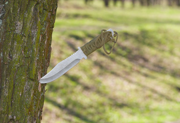 Self-made knife plunged into tree trunk