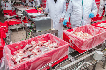 Lumps of meat in a container