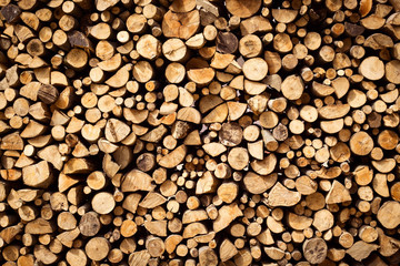 Firewood