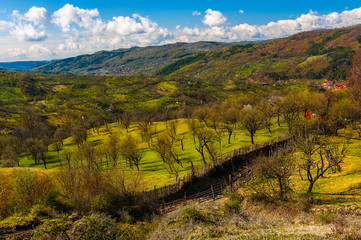 Naklejka premium Romanian countryside landscape in spring colors